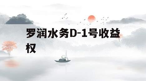 罗润水务D-1号收益权