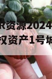 NHZR资源2024年债权资产1号城投债定融