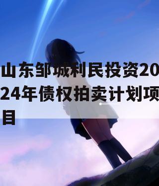 山东邹城利民投资2024年债权拍卖计划项目