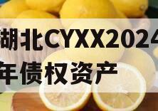 湖北CYXX2024年债权资产