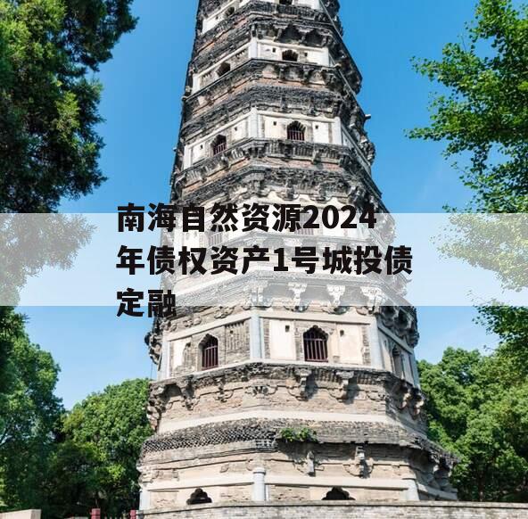 南海自然资源2024年债权资产1号城投债定融