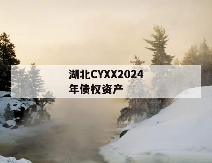 湖北CYXX2024年债权资产