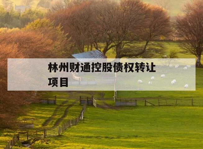 林州财通控股债权转让项目