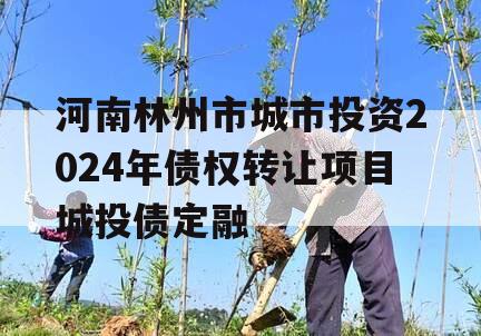 河南林州市城市投资2024年债权转让项目城投债定融