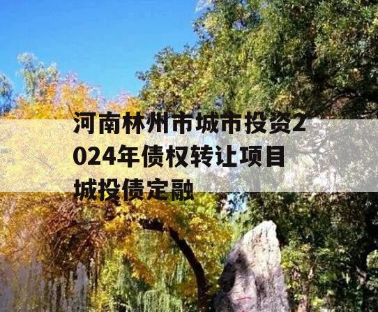 河南林州市城市投资2024年债权转让项目城投债定融