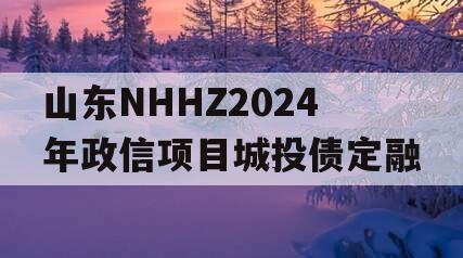 山东NHHZ2024年政信项目城投债定融