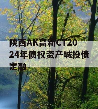 陕西AK高新CT2024年债权资产城投债定融