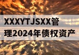 XXXYTJSXX管理2024年债权资产