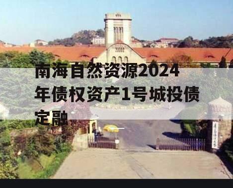 南海自然资源2024年债权资产1号城投债定融