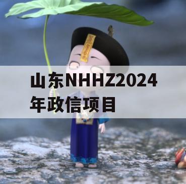 山东NHHZ2024年政信项目