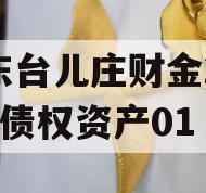 山东台儿庄财金2024年债权资产01