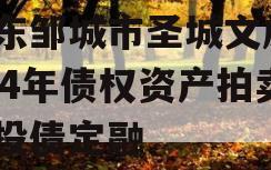 山东邹城市圣城文旅2024年债权资产拍卖城投债定融