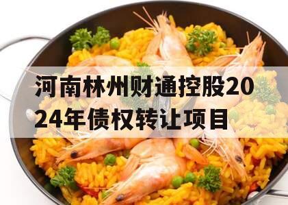 河南林州财通控股2024年债权转让项目