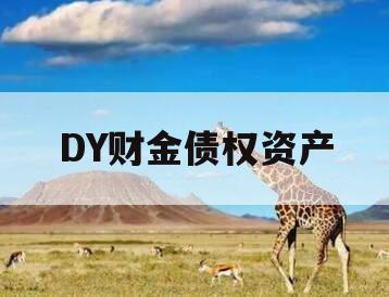 DY财金债权资产