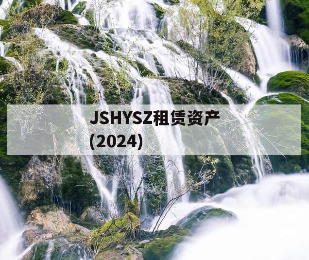 JSHYSZ租赁资产(2024)