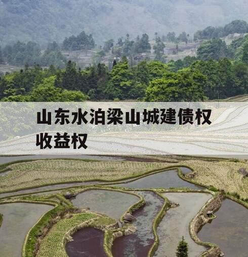 山东水泊梁山城建债权收益权