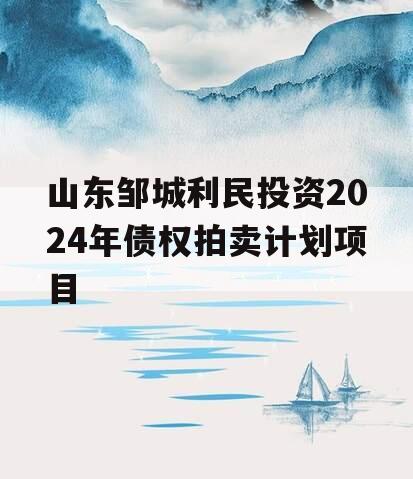 山东邹城利民投资2024年债权拍卖计划项目