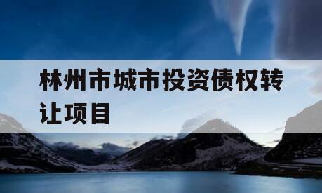 林州市城市投资债权转让项目