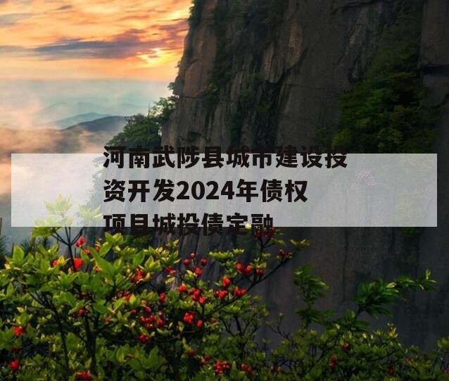 河南武陟县城市建设投资开发2024年债权项目城投债定融