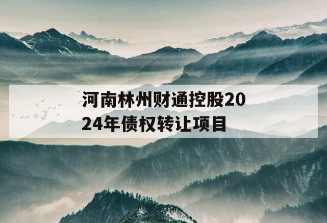 河南林州财通控股2024年债权转让项目