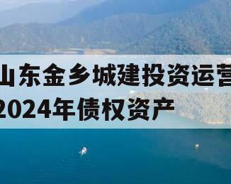 山东金乡城建投资运营2024年债权资产