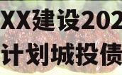 山东XX建设2024融资计划城投债定融