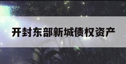 开封东部新城债权资产