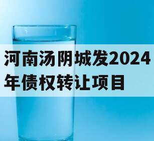 河南汤阴城发2024年债权转让项目