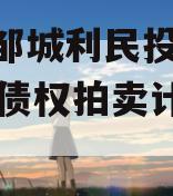 山东邹城利民投资2024年债权拍卖计划项目