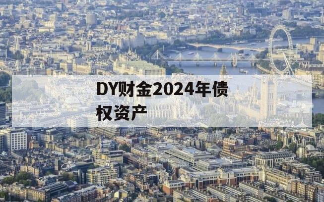 DY财金2024年债权资产