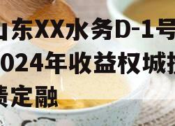 山东XX水务D-1号2024年收益权城投债定融