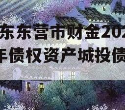 山东东营市财金2024年债权资产城投债定融