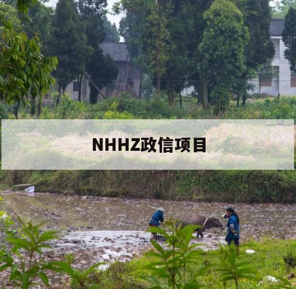 NHHZ政信项目