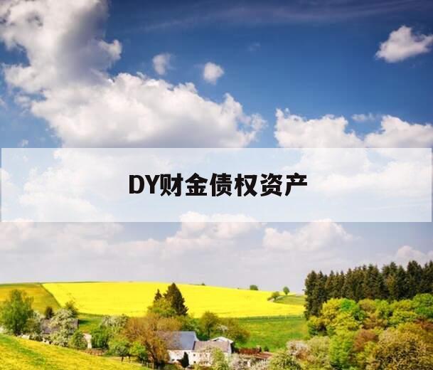 DY财金债权资产