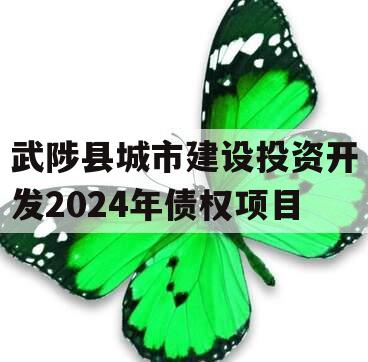 武陟县城市建设投资开发2024年债权项目