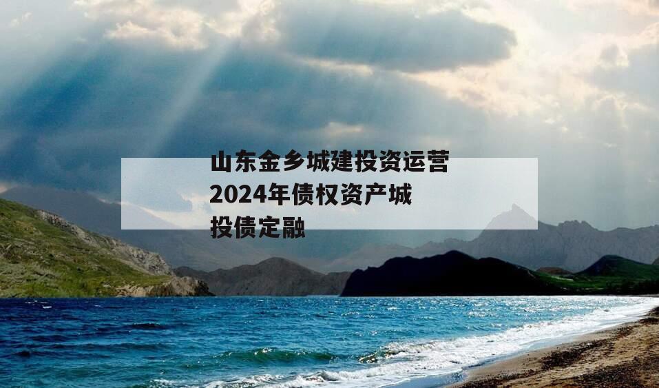 山东金乡城建投资运营2024年债权资产城投债定融