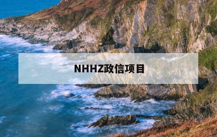 NHHZ政信项目