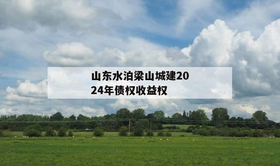 山东水泊梁山城建2024年债权收益权