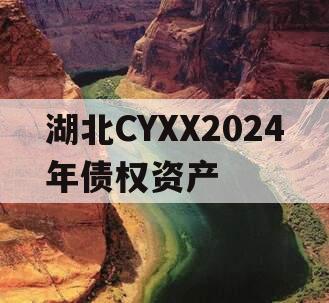 湖北CYXX2024年债权资产