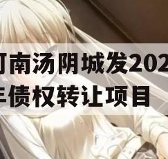 河南汤阴城发2024年债权转让项目