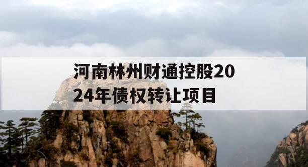 河南林州财通控股2024年债权转让项目