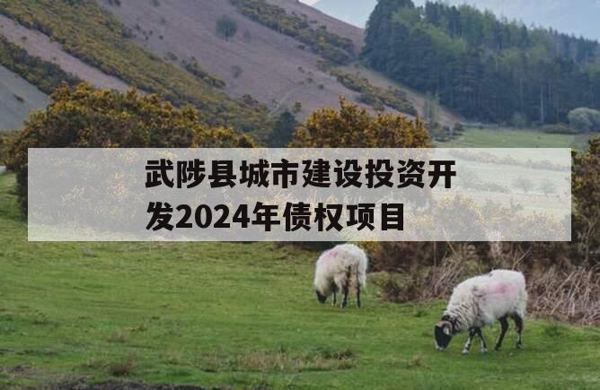 武陟县城市建设投资开发2024年债权项目