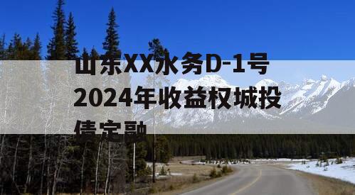 山东XX水务D-1号2024年收益权城投债定融