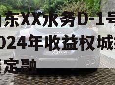 山东XX水务D-1号2024年收益权城投债定融