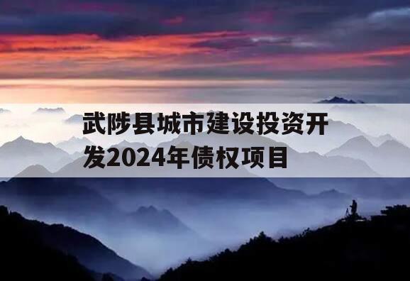 武陟县城市建设投资开发2024年债权项目