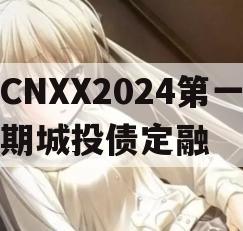 CNXX2024第一期城投债定融