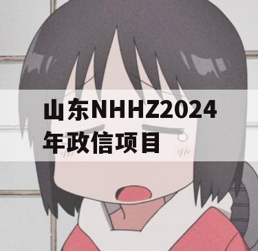 山东NHHZ2024年政信项目