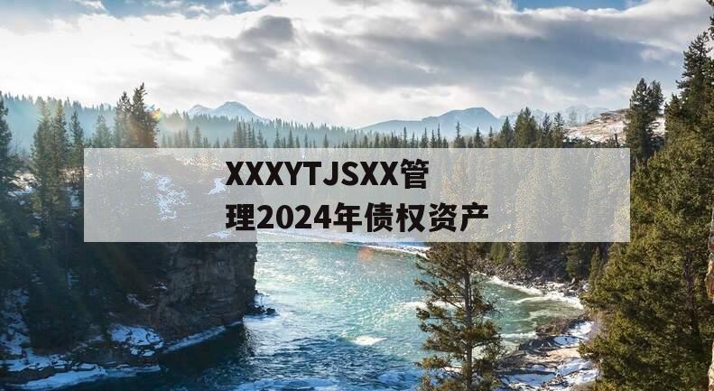 XXXYTJSXX管理2024年债权资产