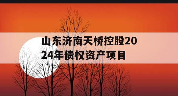 山东济南天桥控股2024年债权资产项目