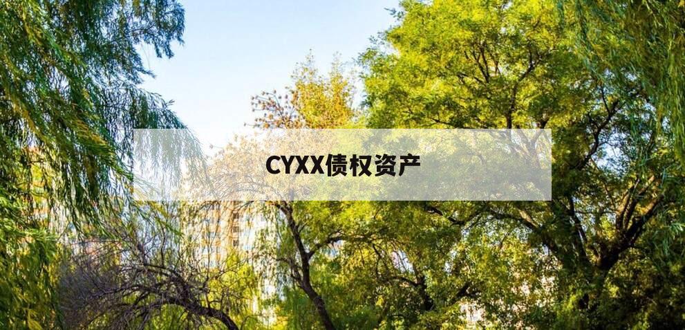 CYXX债权资产